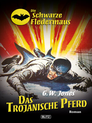 cover image of Die schwarze Fledermaus 11